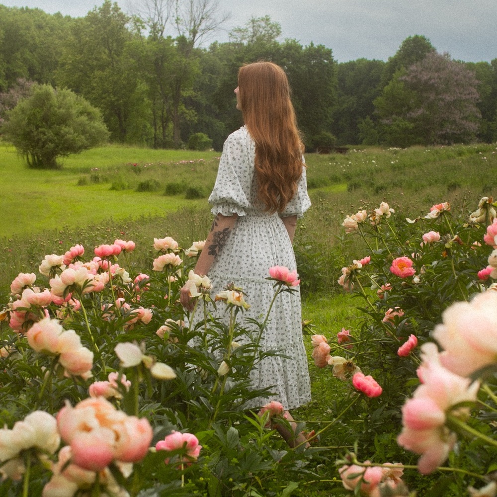 Ivy City Co Madeline Dress